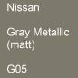 Preview: Nissan, Gray Metallic (matt), G05.